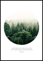 Photography Poster Quote Einstein look deep into nature