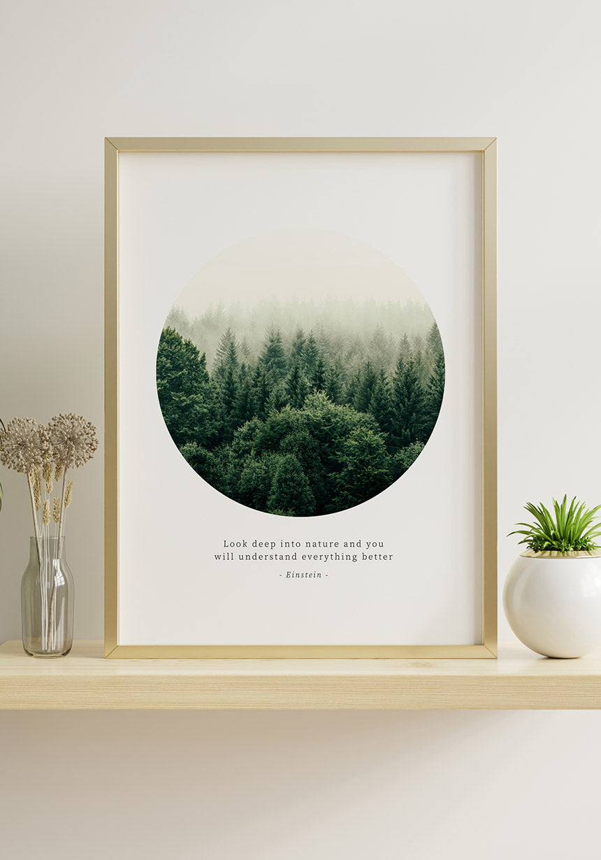 Photography Poster Quote Einstein look deep into nature on shelf