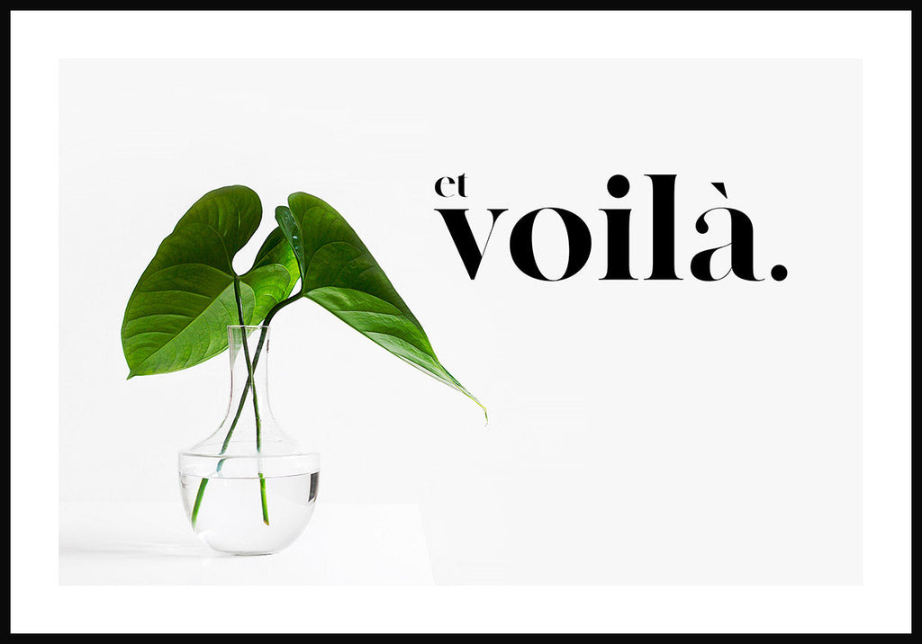 Poster Spruch et voila with plant