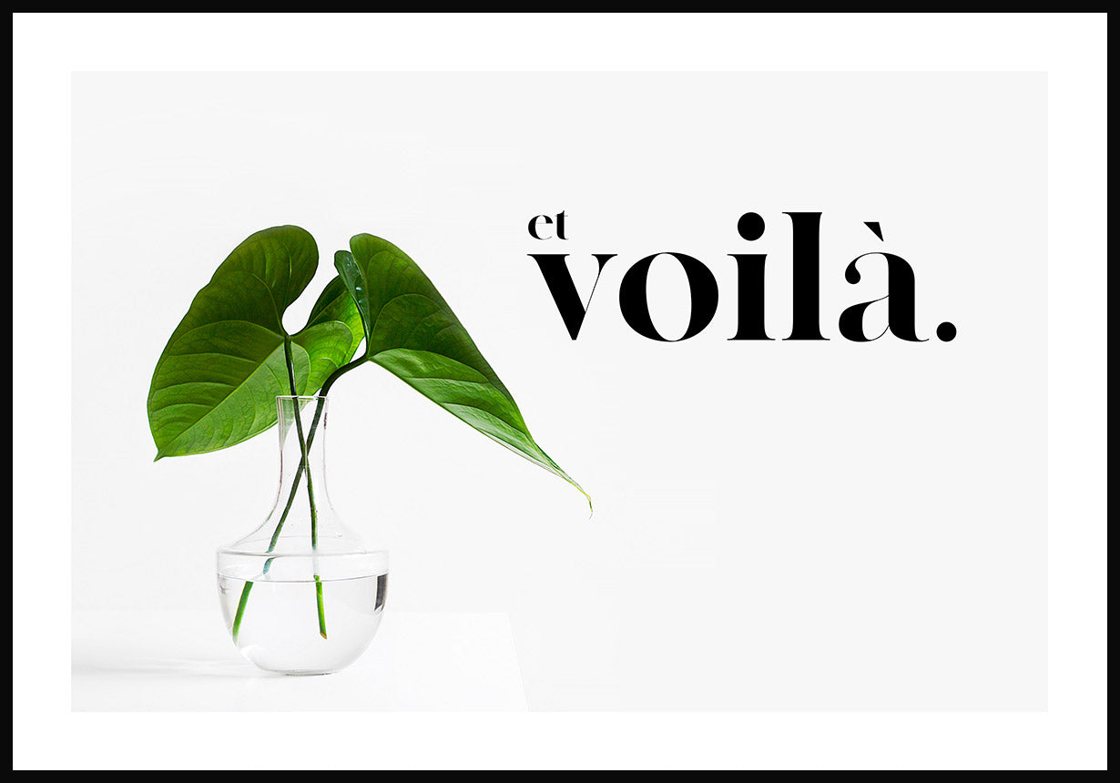 Poster Spruch et voila with plant