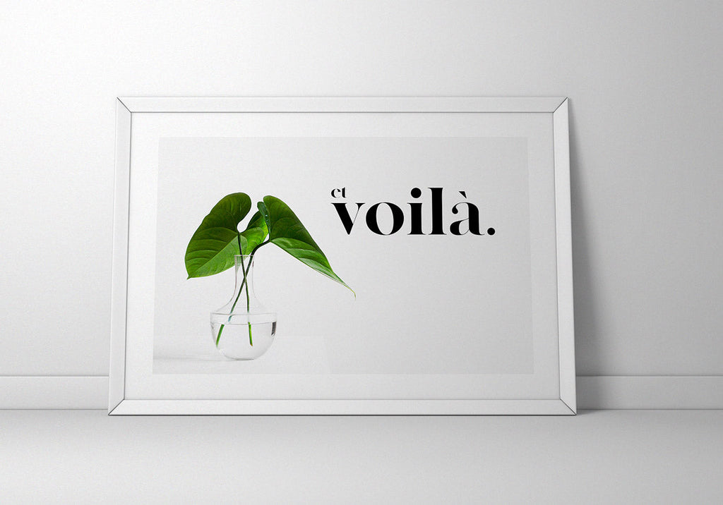 Poster Spruch et voila with plant on wall