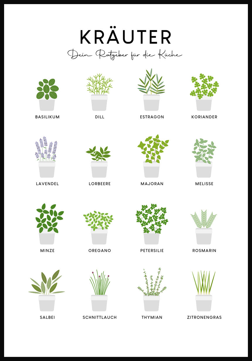 illustration poster kitchen herbs