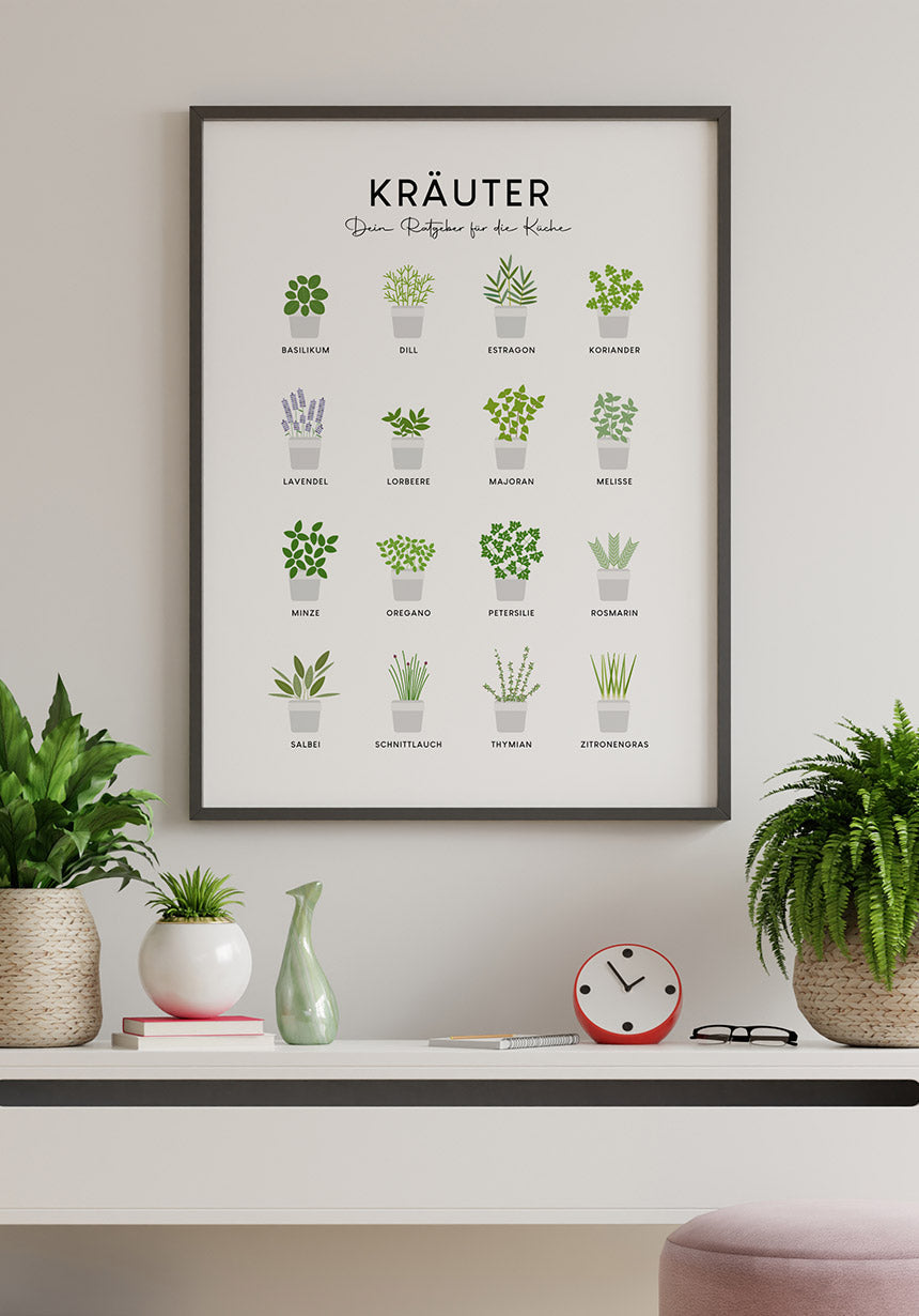 illustration poster kitchen herbs on the wall