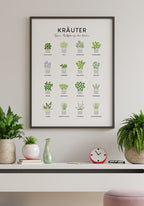 illustration poster kitchen herbs on the wall