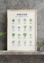 Poster kitchen herbs on concrete wall