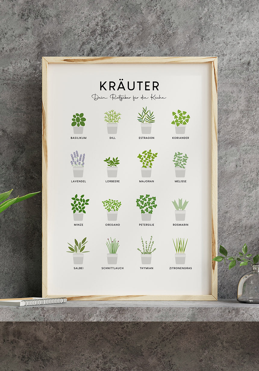 Poster kitchen herbs on concrete wall