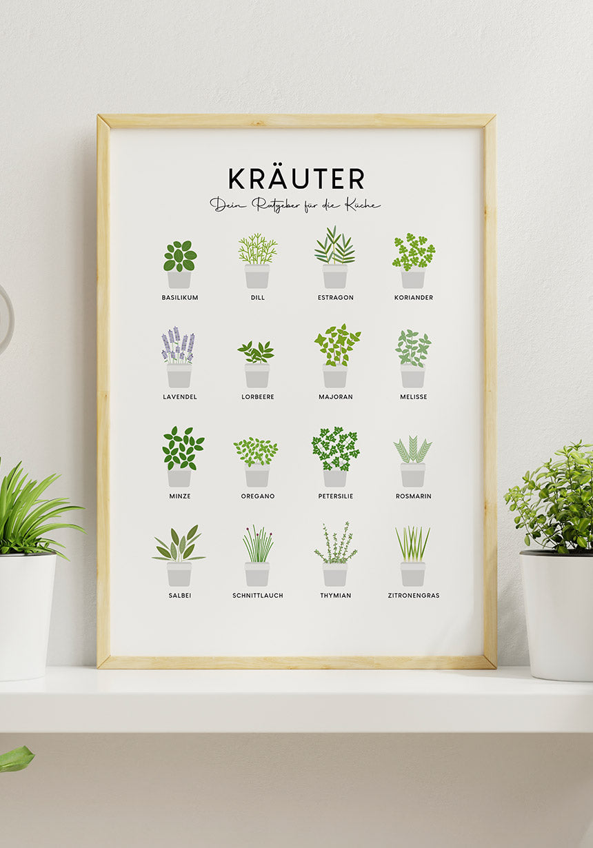 Poster kitchen herbs on shelf