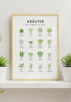 Poster kitchen herbs on shelf