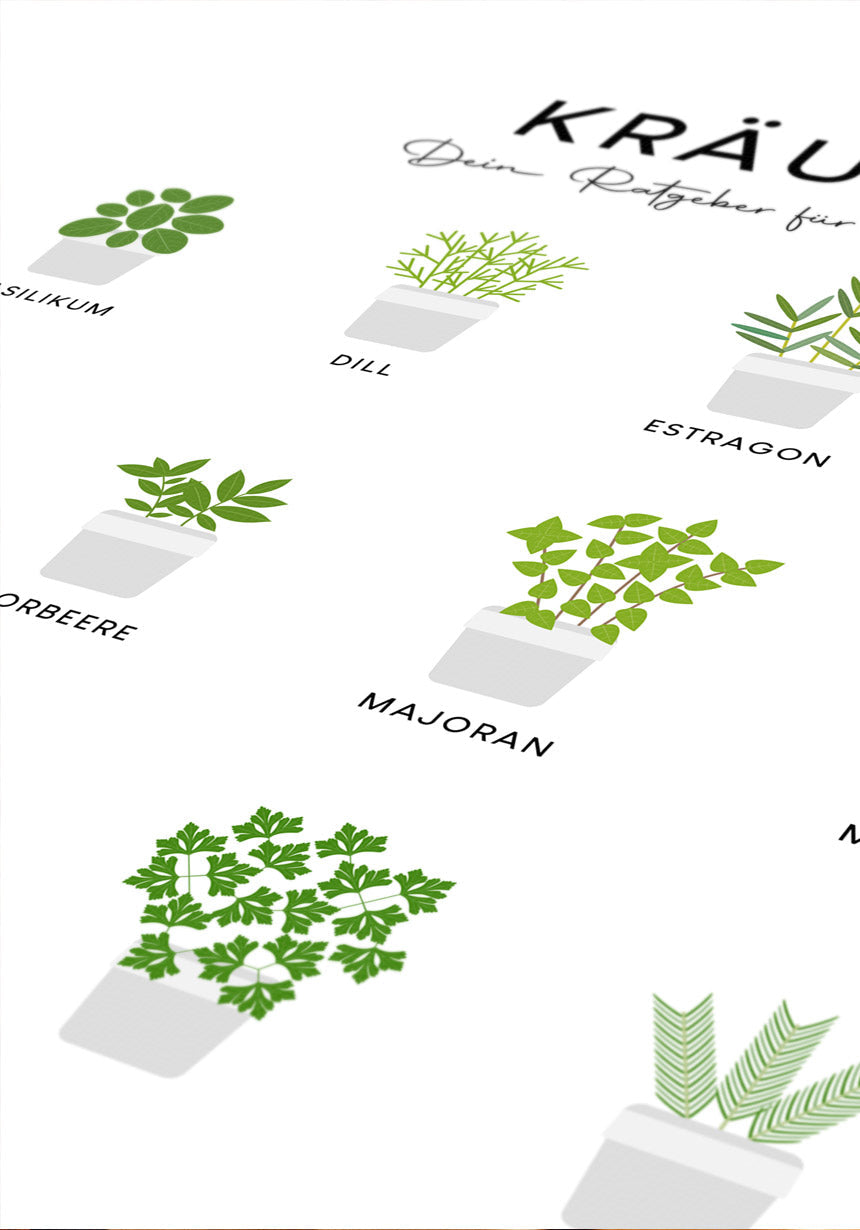 illustration poster kitchen herbs kitchen poster