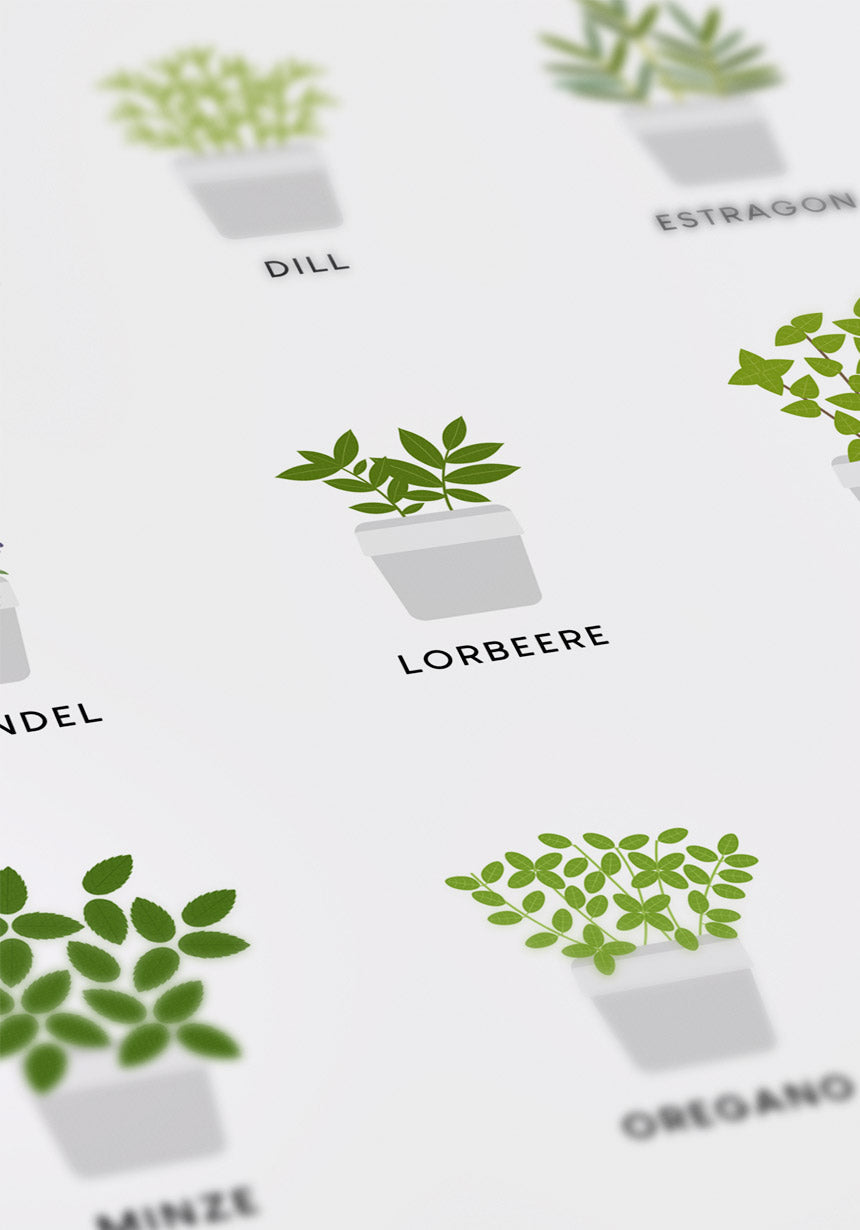 illustration poster kitchen herbs poster for the kitchen