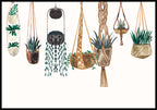 illustration poster plant baskets