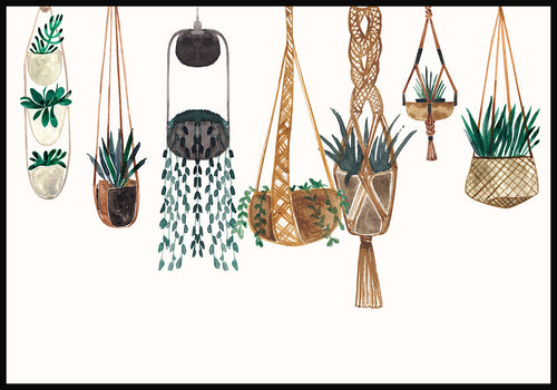 illustration poster plant baskets