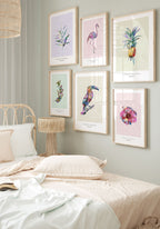 poster illustration Tukan picture wall