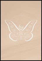 Illustrations Poster Butterfly in Boho Style