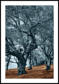 Blue trees brown ground poster