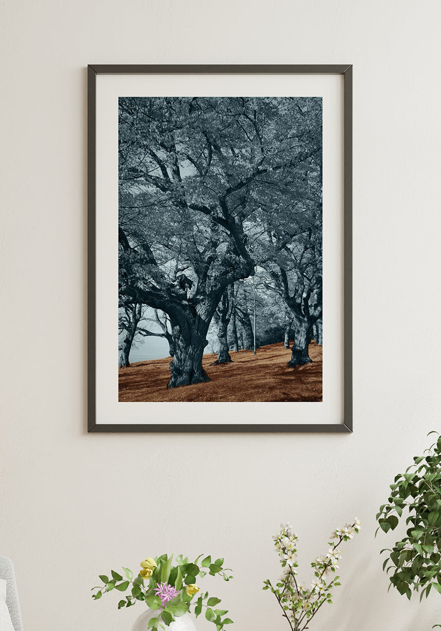 Blue trees brown floor poster living room