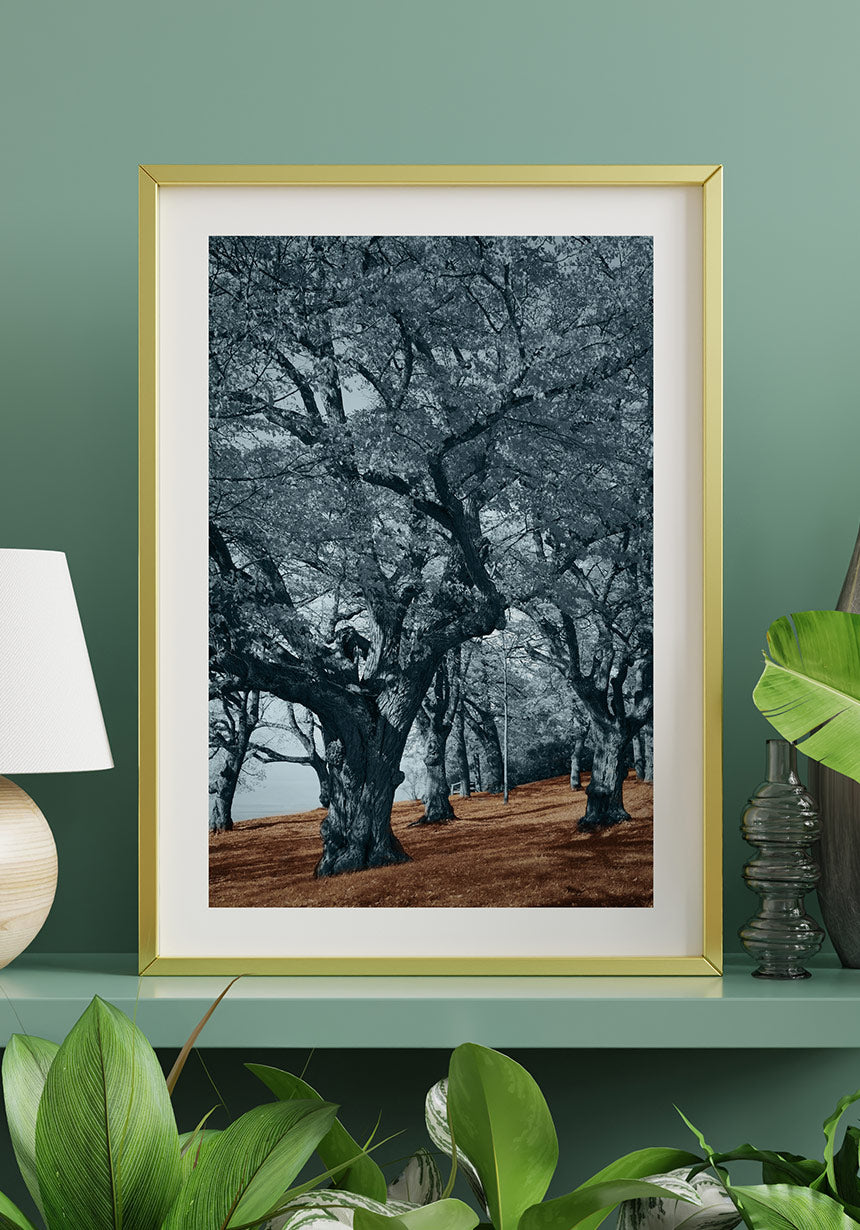 Blue Trees Brown Floor Poster Golden Frame