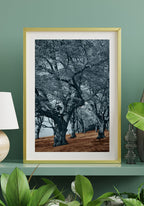 Blue Trees Brown Floor Poster Golden Frame