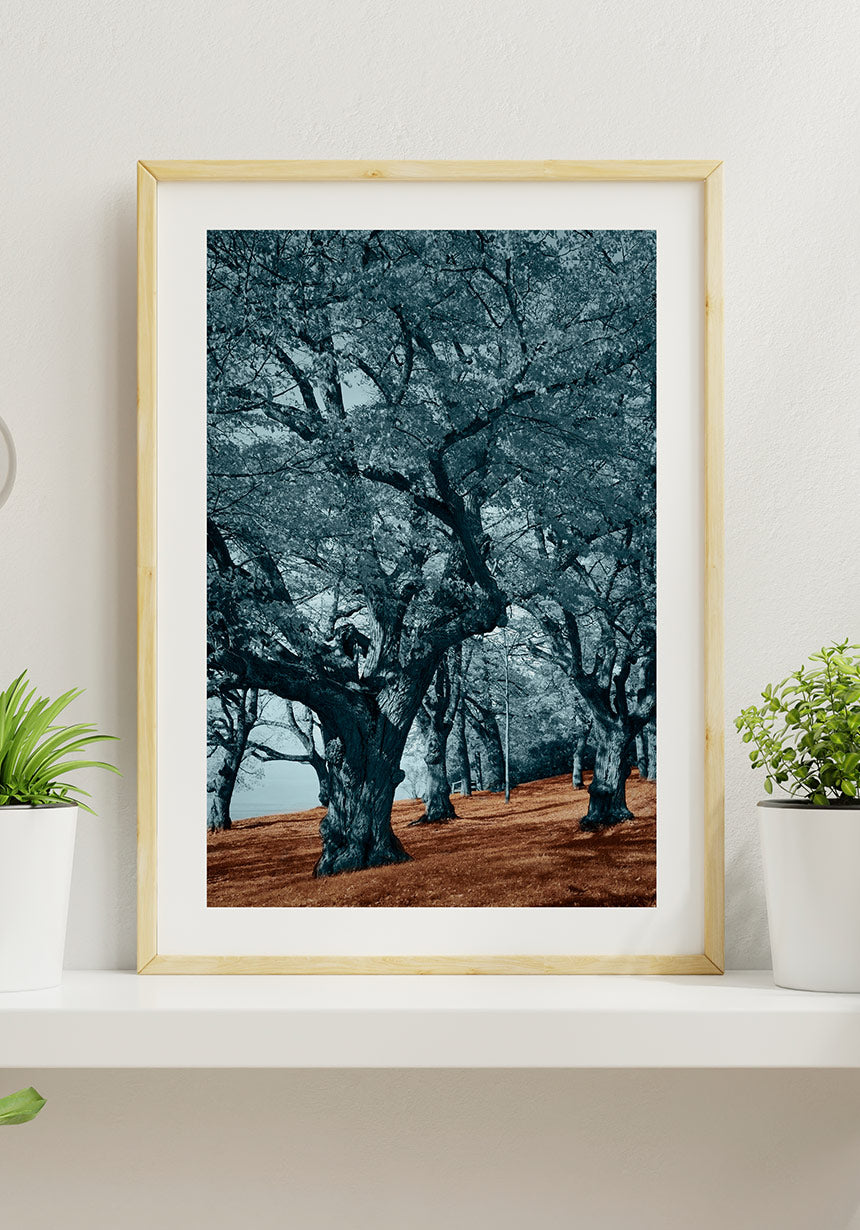 Blue trees brown floor poster wall decoration