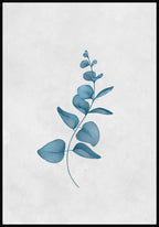Poster Calm Watercolors Eukalyptus