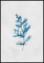 Poster Calm Watercolors Krätuer Zweig
