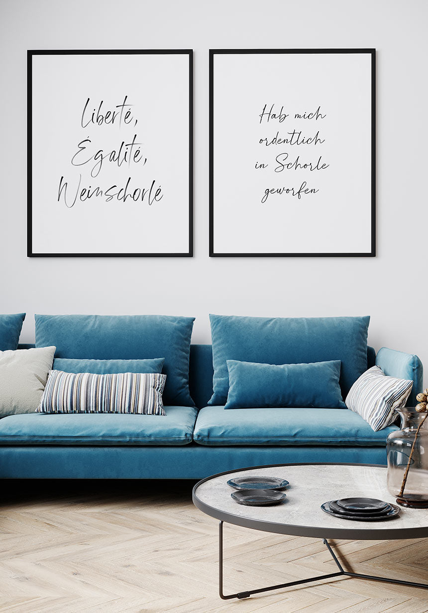 Poster has thrown me neatly in Schorle over blue sofa