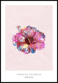 Poster Hibiskus bloom tropical