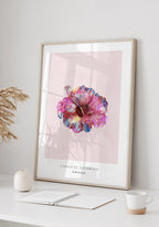 Poster Hibiskus flower tropical in wooden frame
