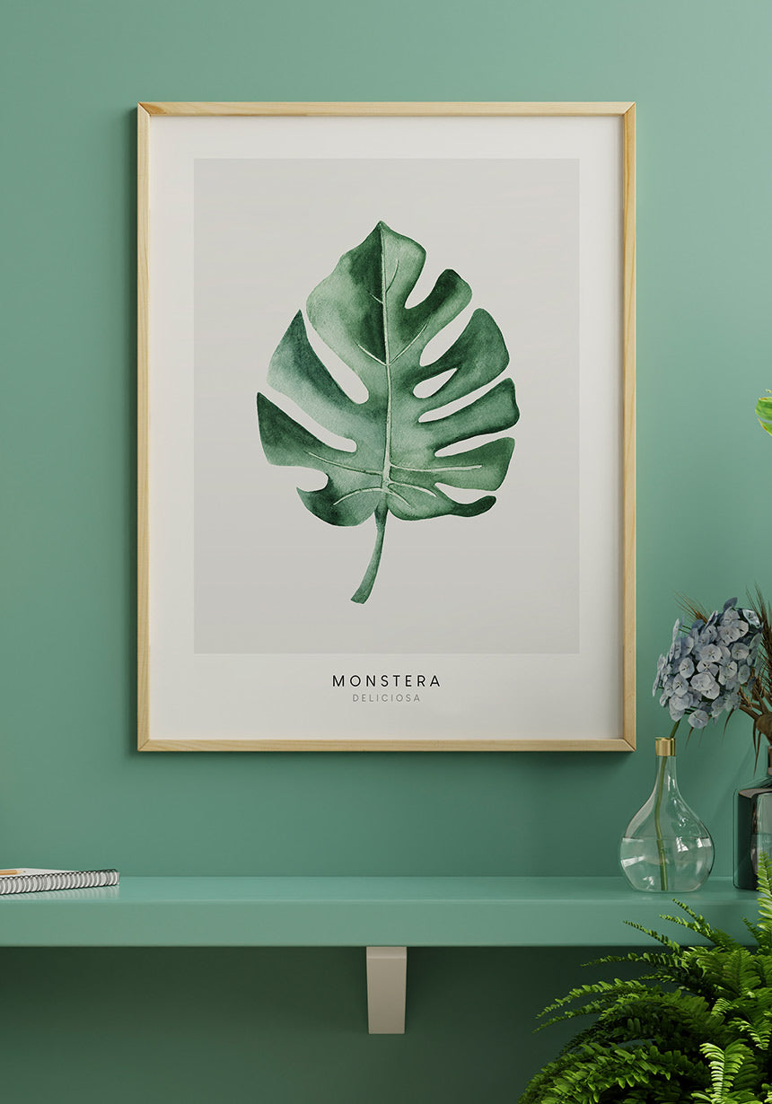 Postera Monstera Deliciosa over shelf