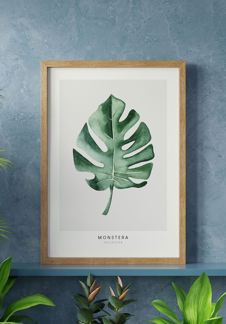 Poster Monstera Deliciosa in front of blue wall