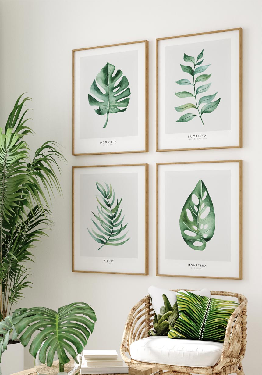 Monstera Poster Collection