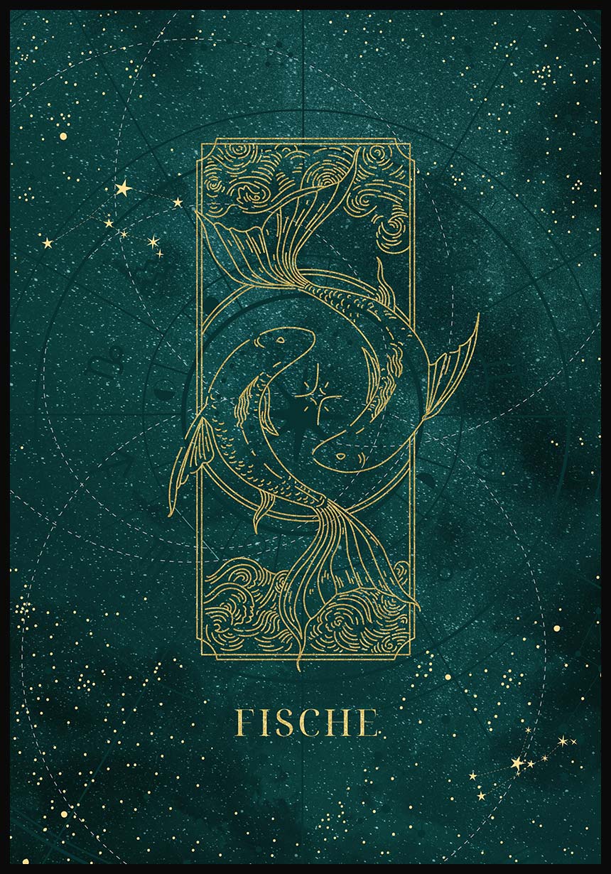 Signposts poster fish
