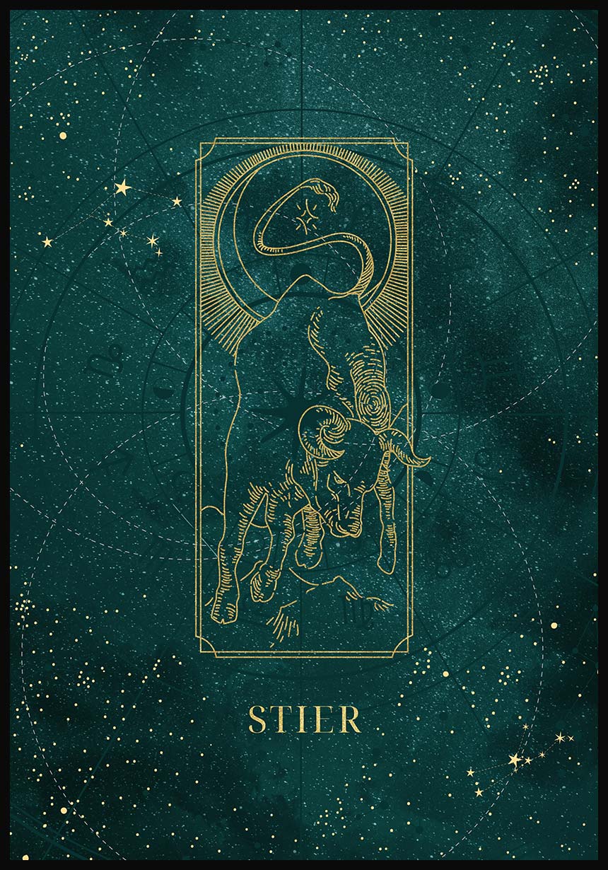 Zodiac sign poster bull