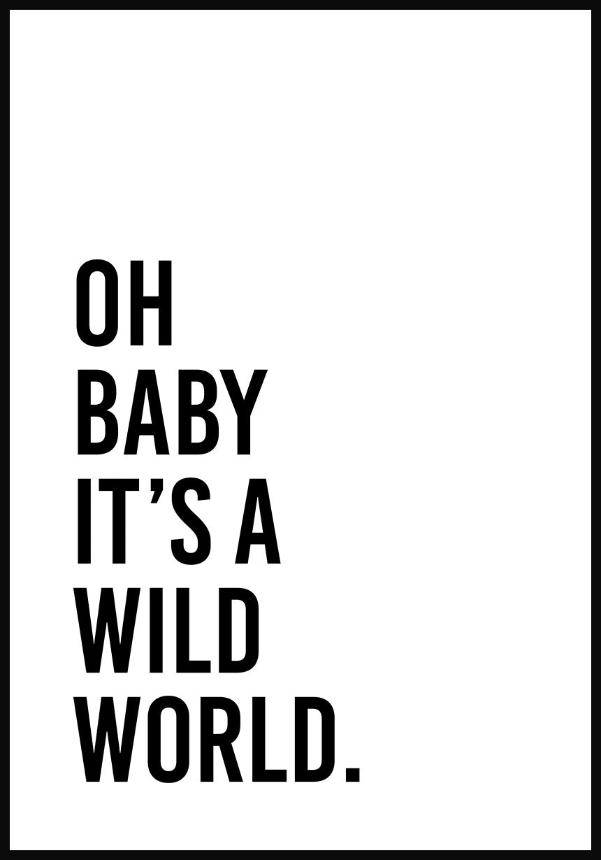 Oh baby it`s a wild world poster