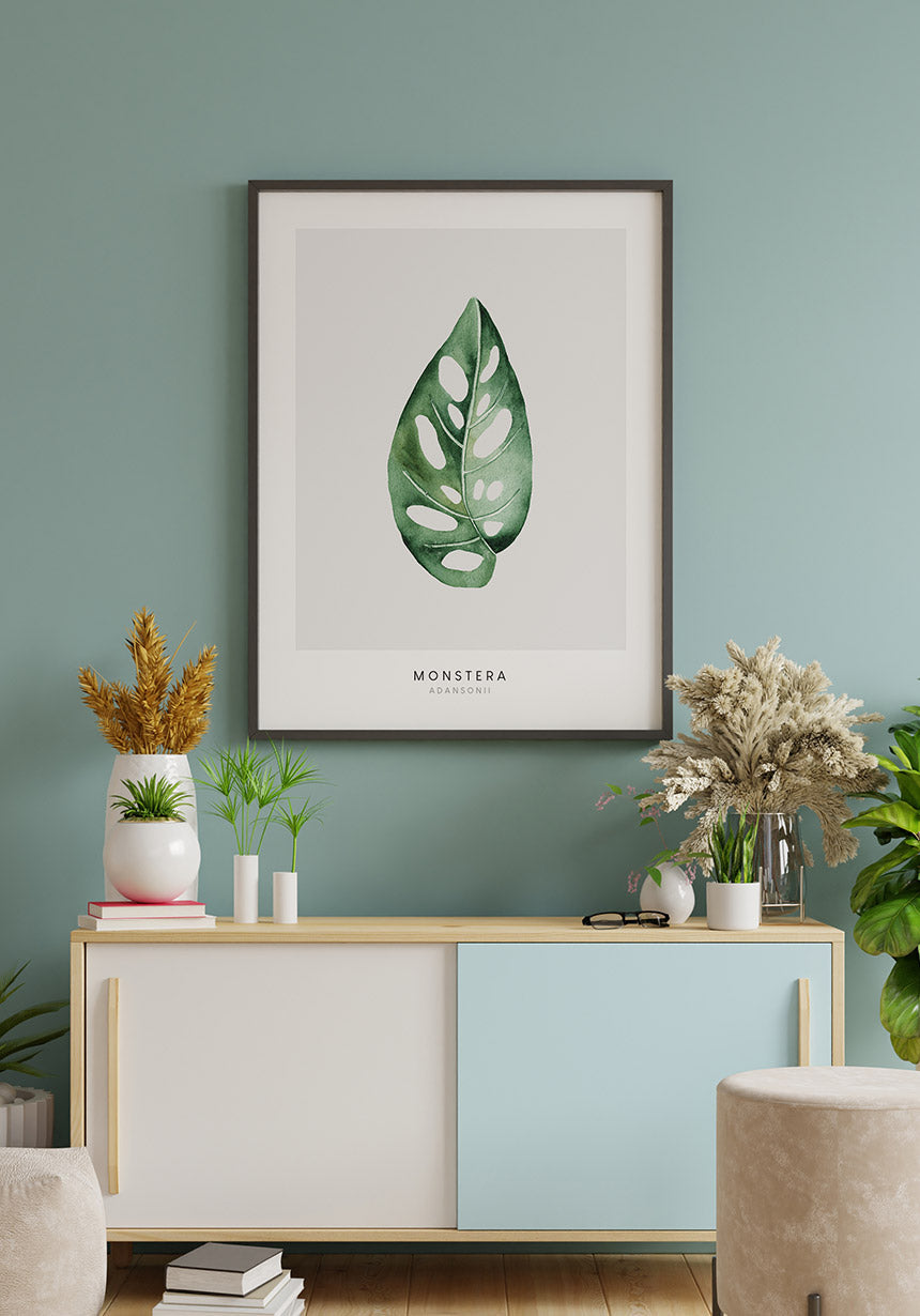 Poster Plant Monstera Adansonii over sideboard