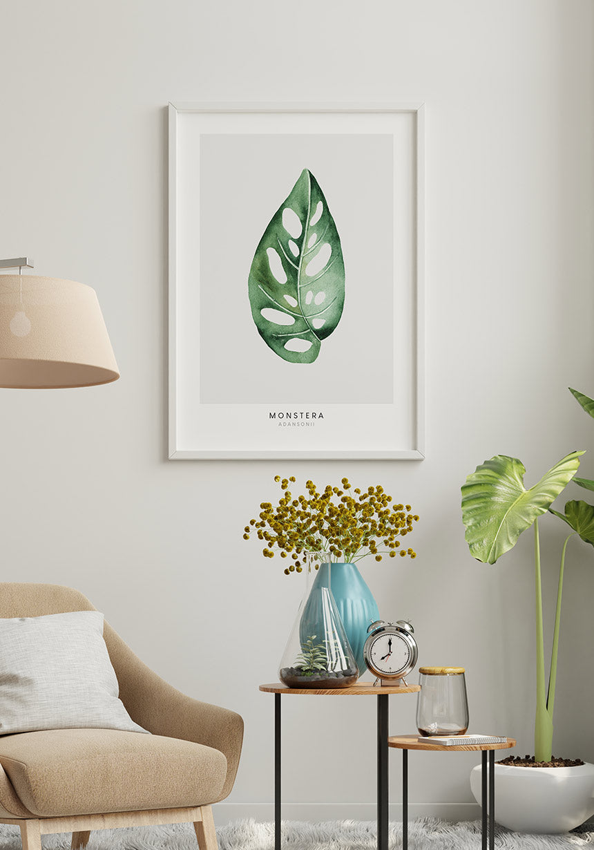 Poster Plant Monstera Adansonii at the sitting area