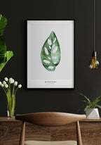 Poster Plant Monstera Adansonii above the desk