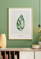 Poster Plant Monstera Adansonii in wooden frame