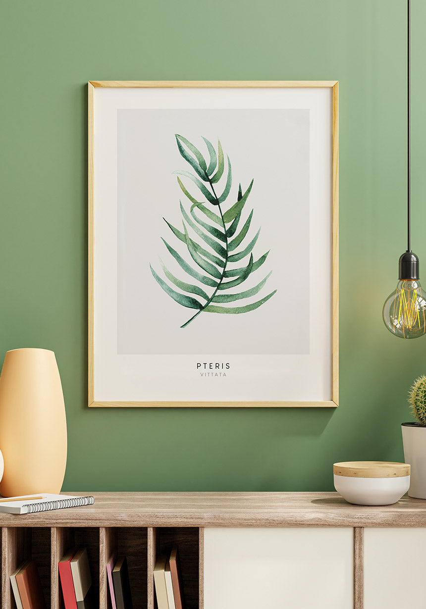 Poster Pteris Vittata plant in wooden frame