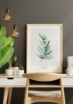Poster Pteris Vittata Plant at Work