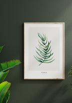 Poster Pteris Vittata plant on green wall