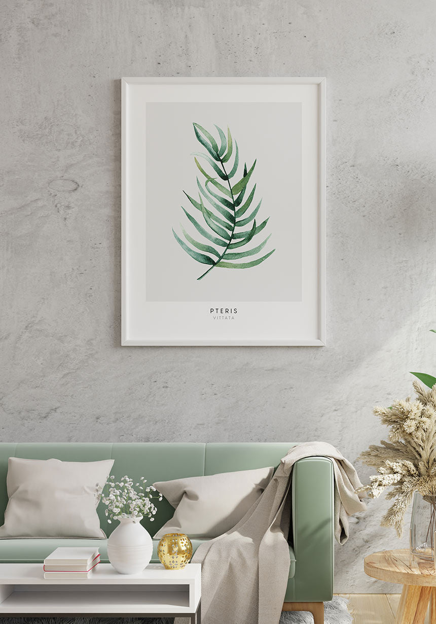 Poster Pteris Vittata plant above the sofa