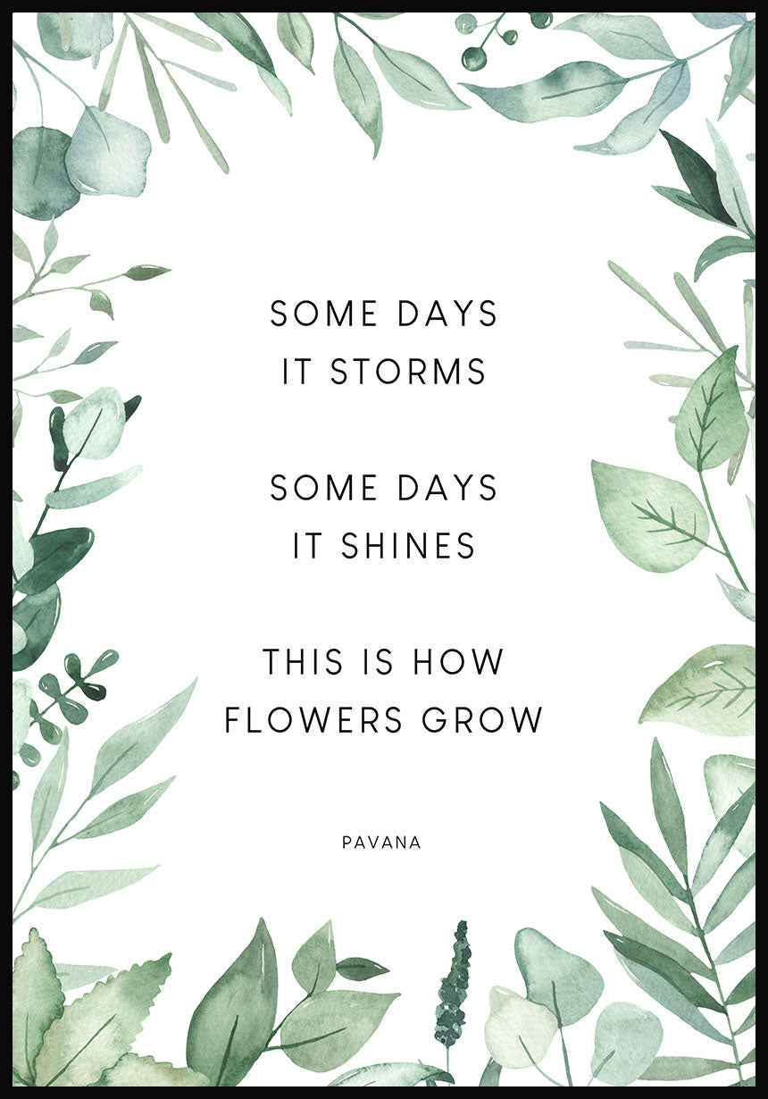 Poster this is how flower grow
