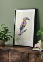 Poster Illustration Tukan in black frame