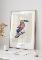 Poster Illustration Tukan on white wall