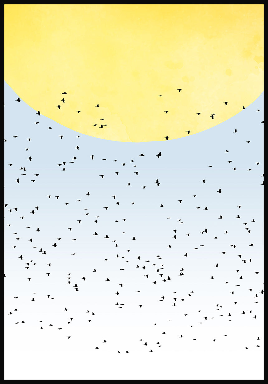 Poster bird scarf in the sun
