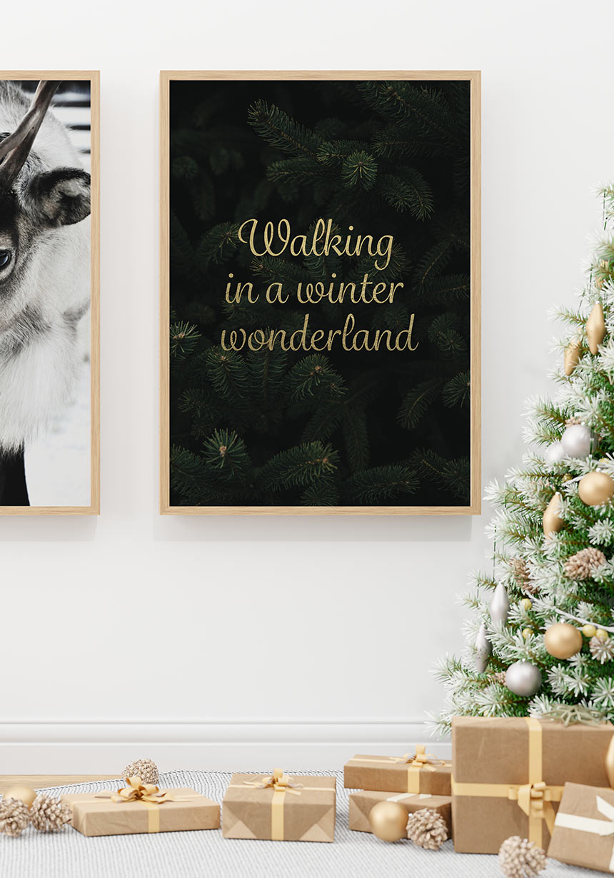 Walking on a winter wonderland Poster for home