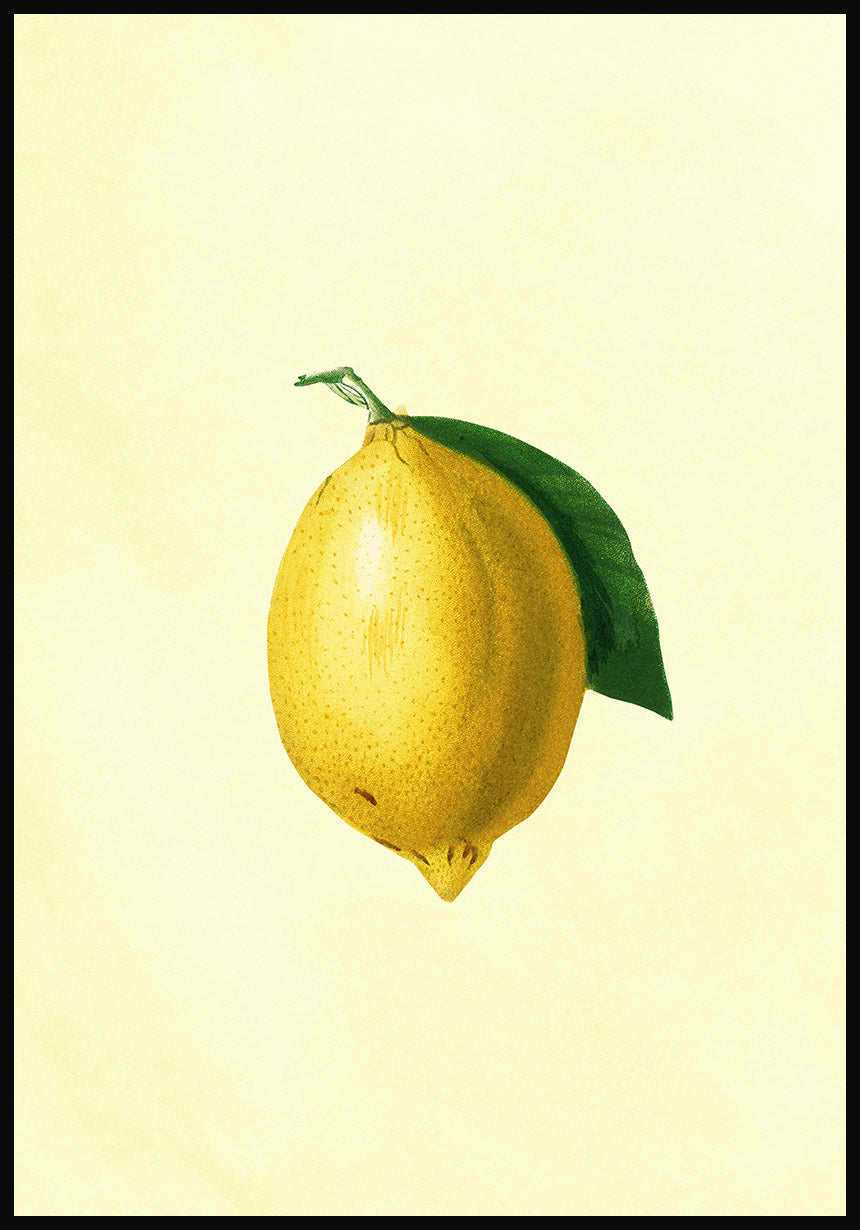 Poster lemon with leaf