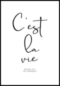 Cest la vie Typography Poster black and white