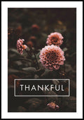 Thankful poster with flowers